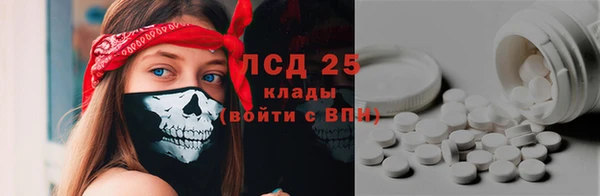 винт Аркадак