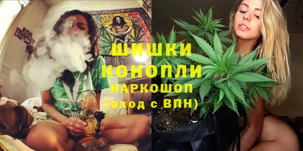 винт Аркадак
